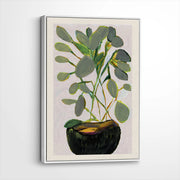 framed-canvas-white