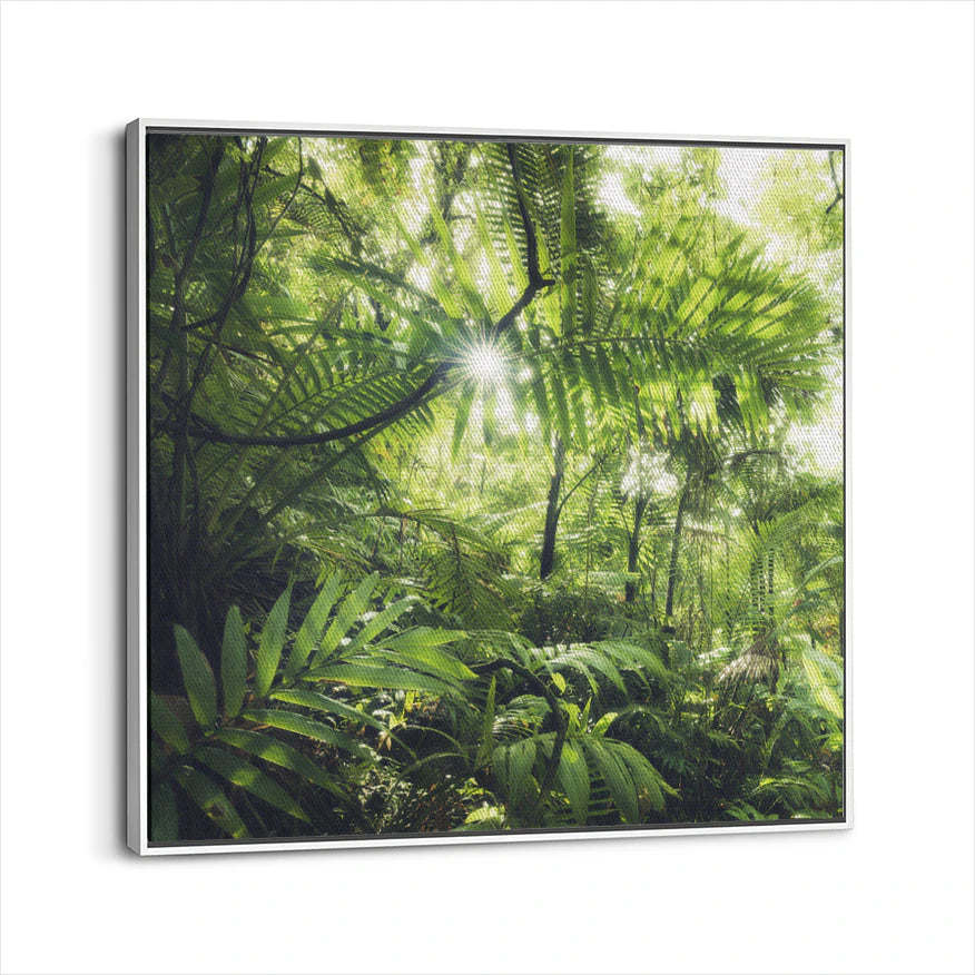 framed-canvas-white