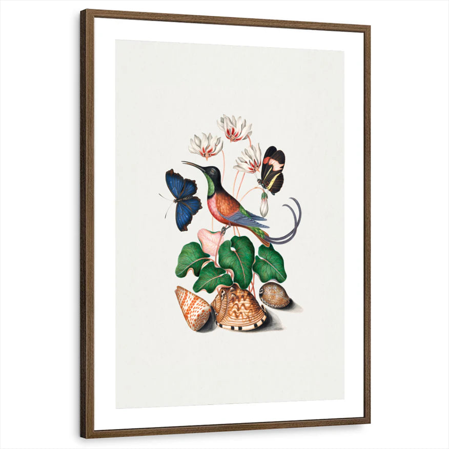 framed-print-brown-walnut-matted