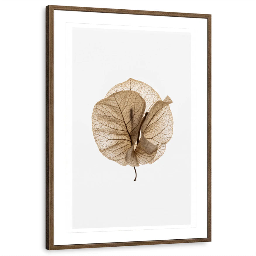 framed-print-brown-walnut-matted