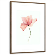 framed-print-brown-walnut-matted