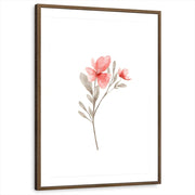 framed-print-brown-walnut-matted