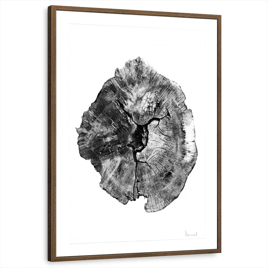 framed-print-brown-walnut-matted