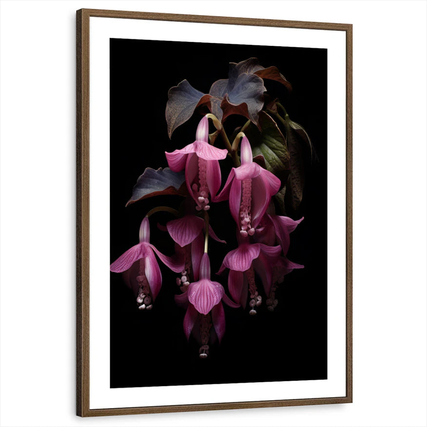 framed-print-brown-walnut-matted