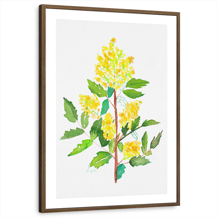 framed-print-brown-walnut-matted