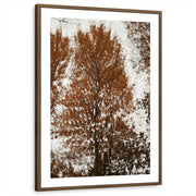 framed-print-brown-walnut-matted