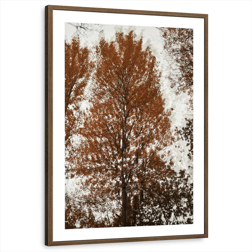 framed-print-brown-walnut-matted
