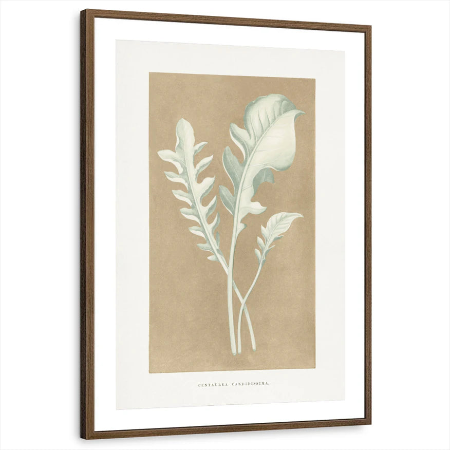 framed-print-brown-walnut-matted