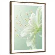 framed-print-brown-walnut-matted