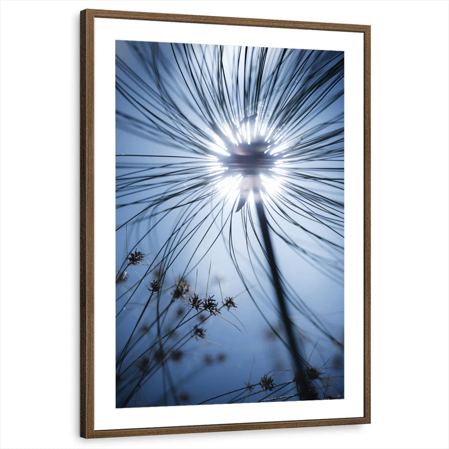 framed-print-brown-walnut-matted