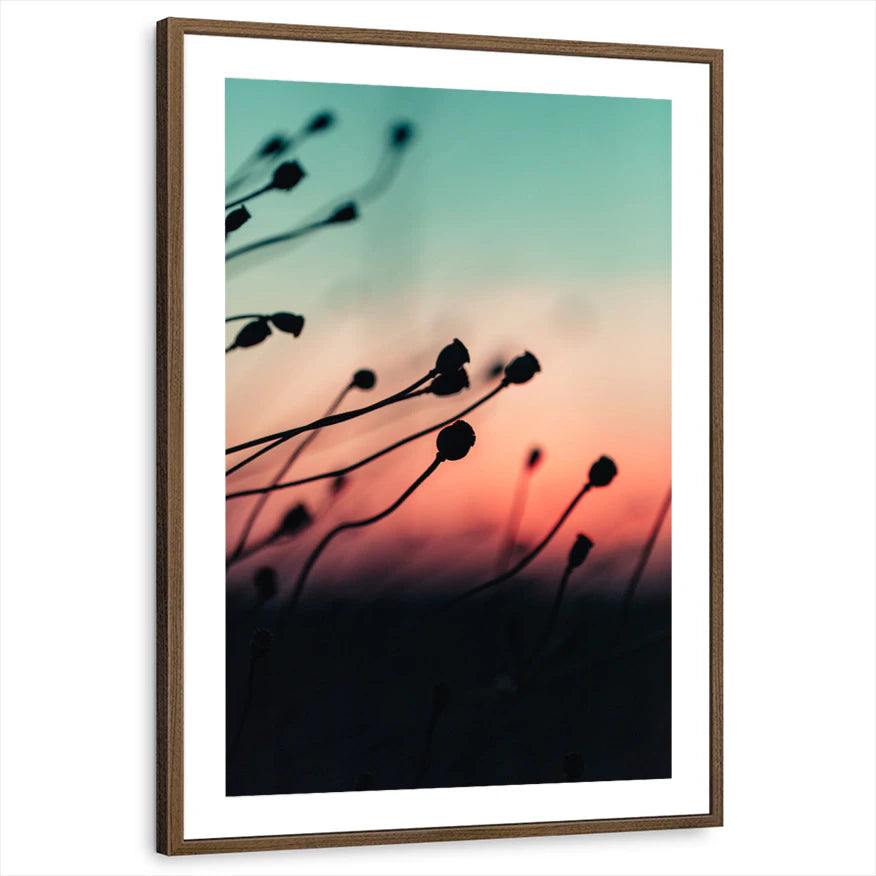 framed-print-brown-walnut-matted