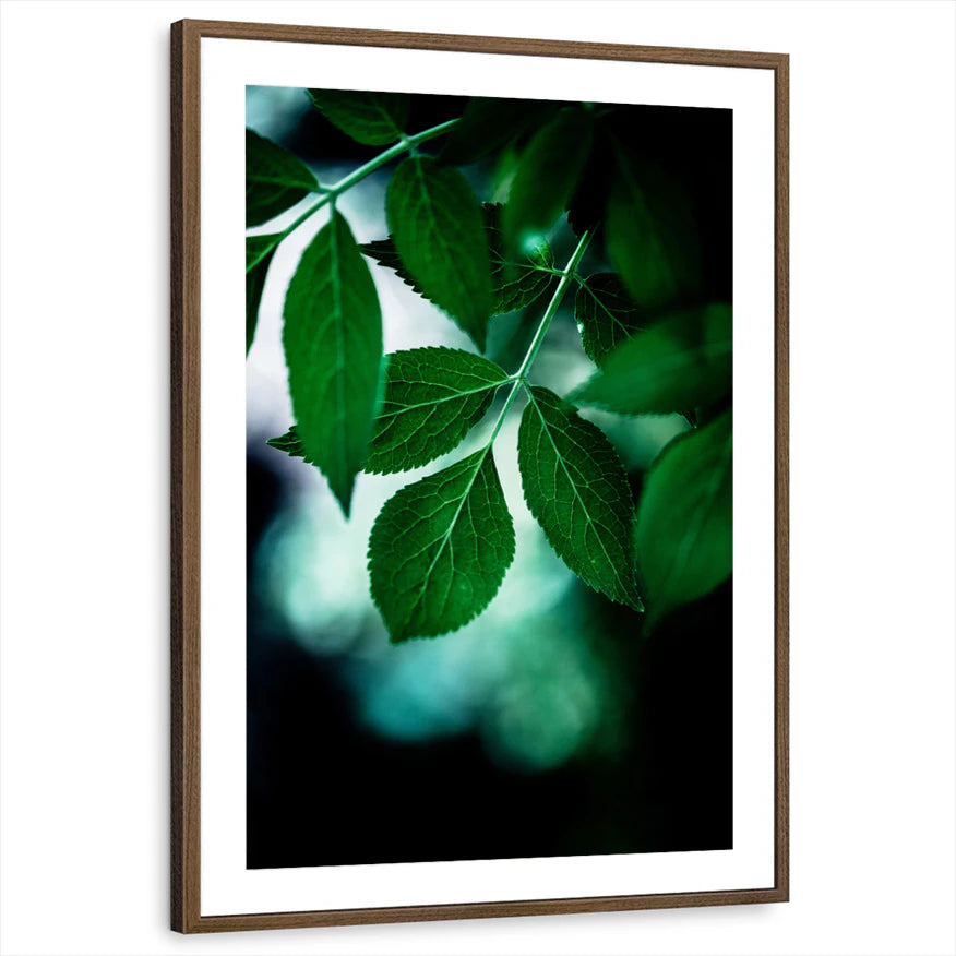 framed-print-brown-walnut-matted