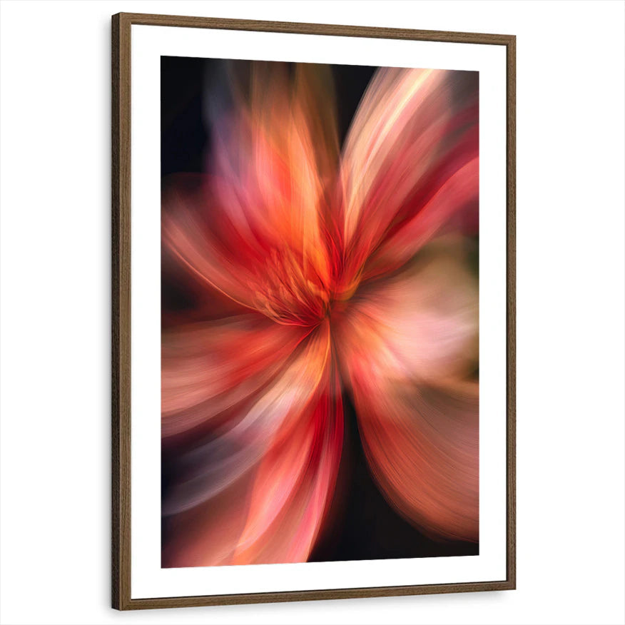 framed-print-brown-walnut-matted