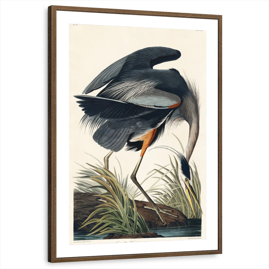framed-print-brown-walnut-matted