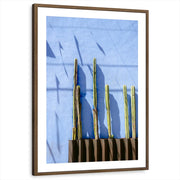 framed-print-brown-walnut-matted