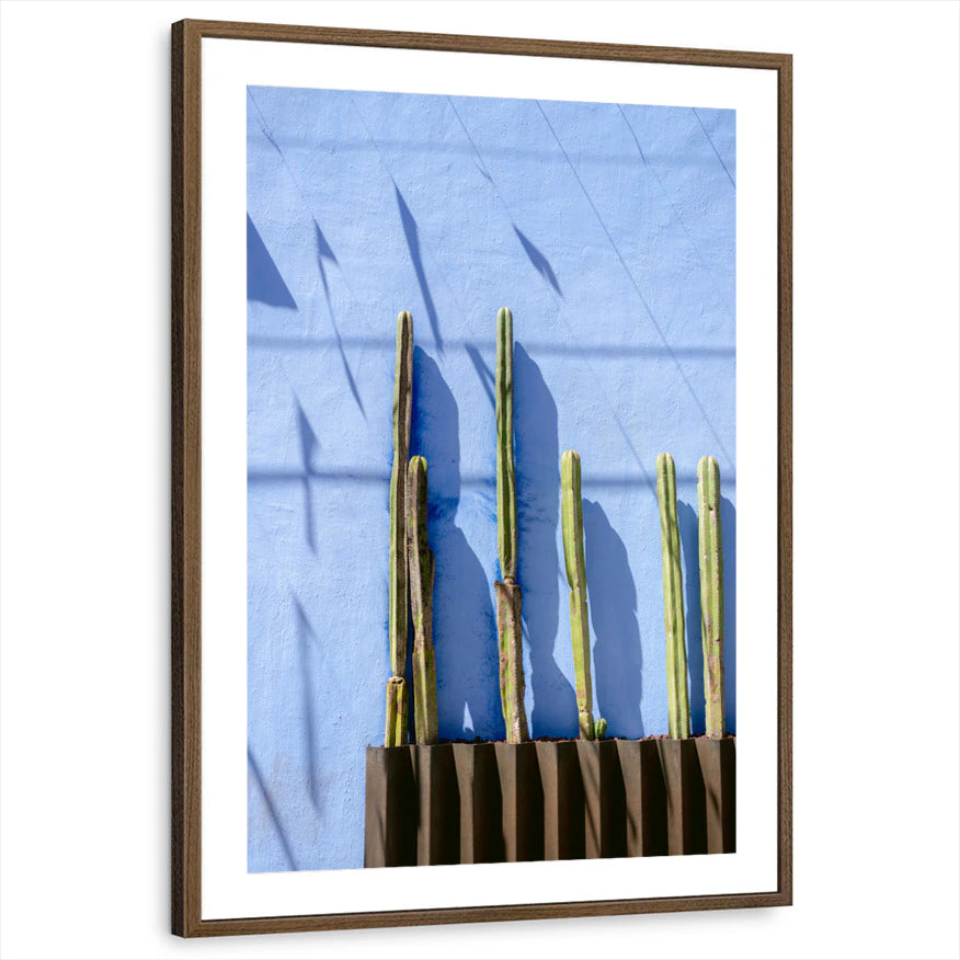 framed-print-brown-walnut-matted