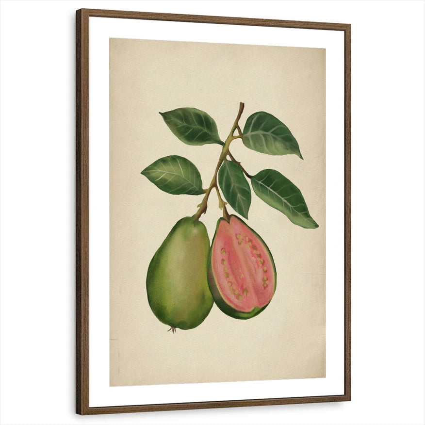 framed-print-brown-walnut-matted