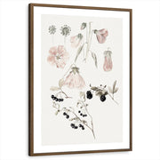 framed-print-brown-walnut-matted