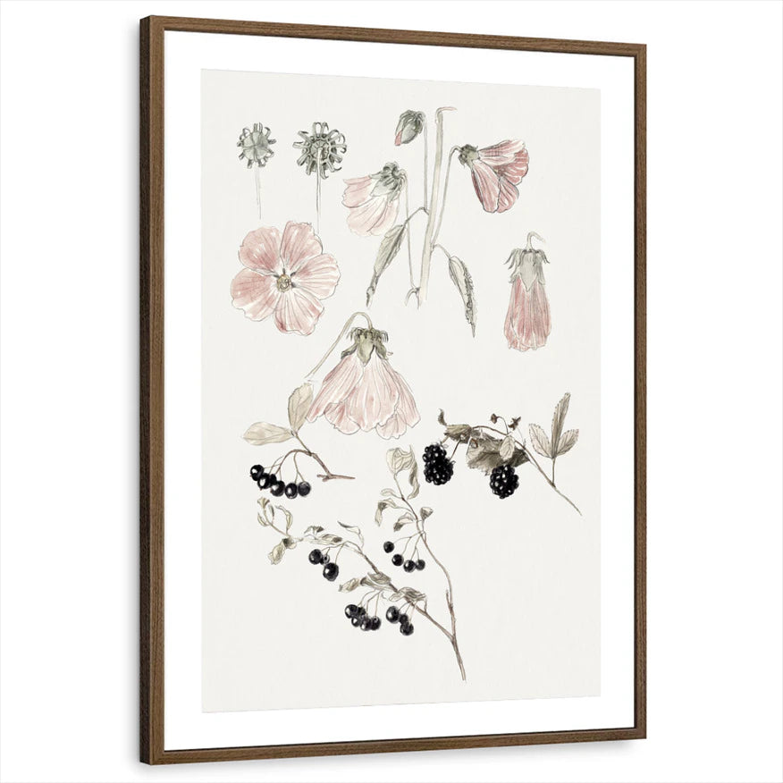 framed-print-brown-walnut-matted