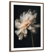 framed-print-brown-walnut-matted