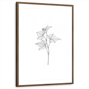 framed-print-brown-walnut-matted