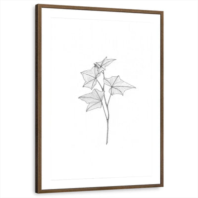 framed-print-brown-walnut-matted