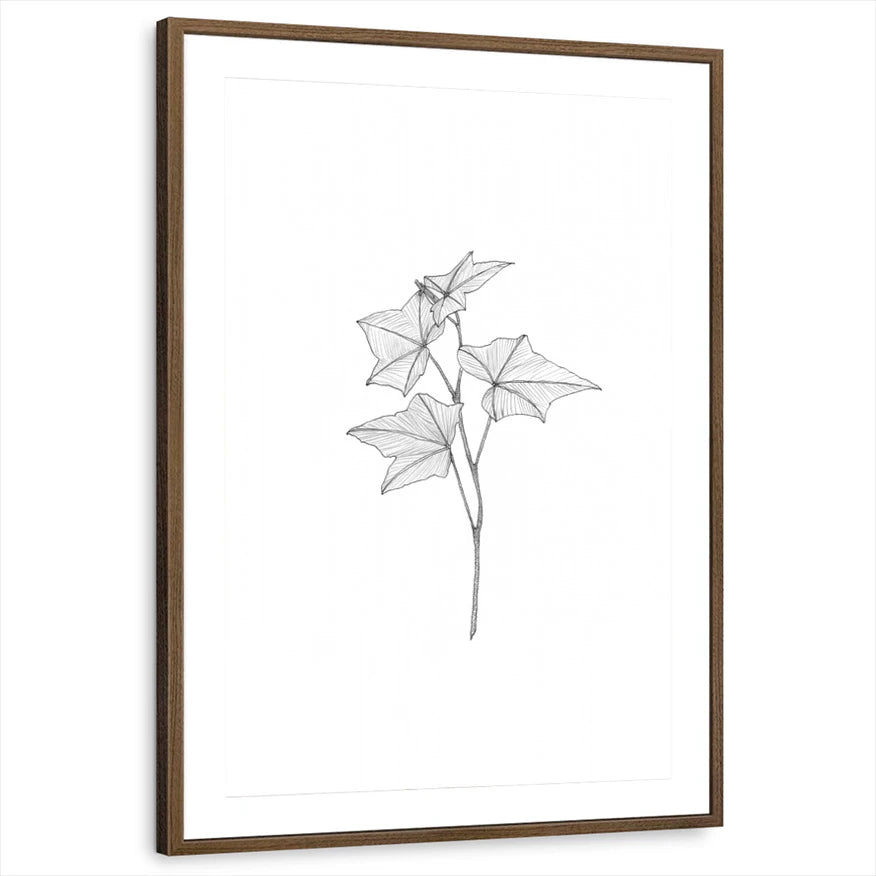 framed-print-brown-walnut-matted