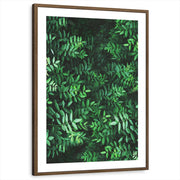 framed-print-brown-walnut-matted