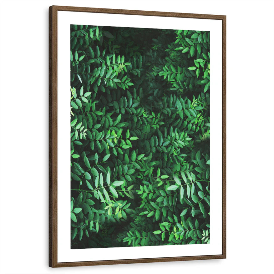 framed-print-brown-walnut-matted