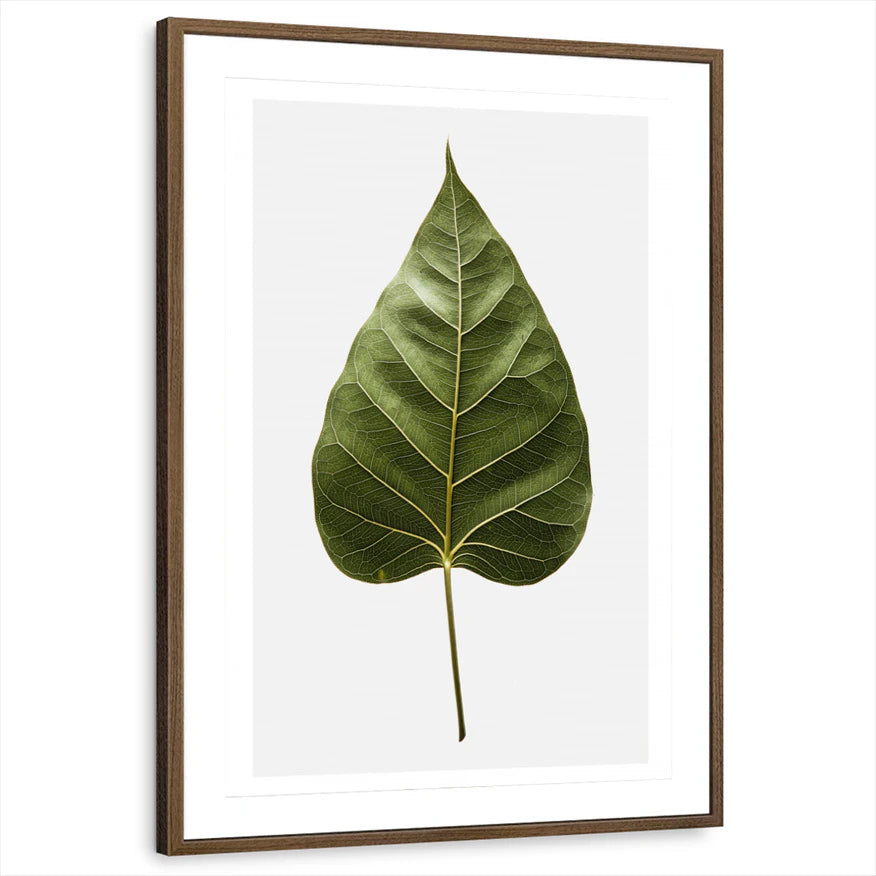 framed-print-brown-walnut-matted