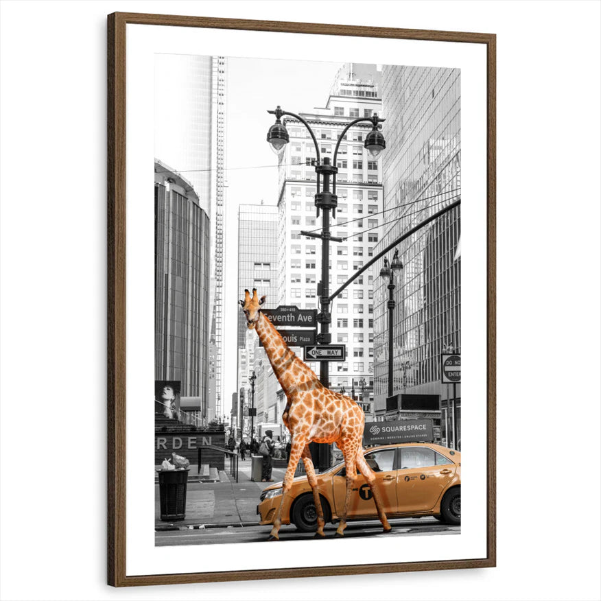framed-print-brown-walnut-matted