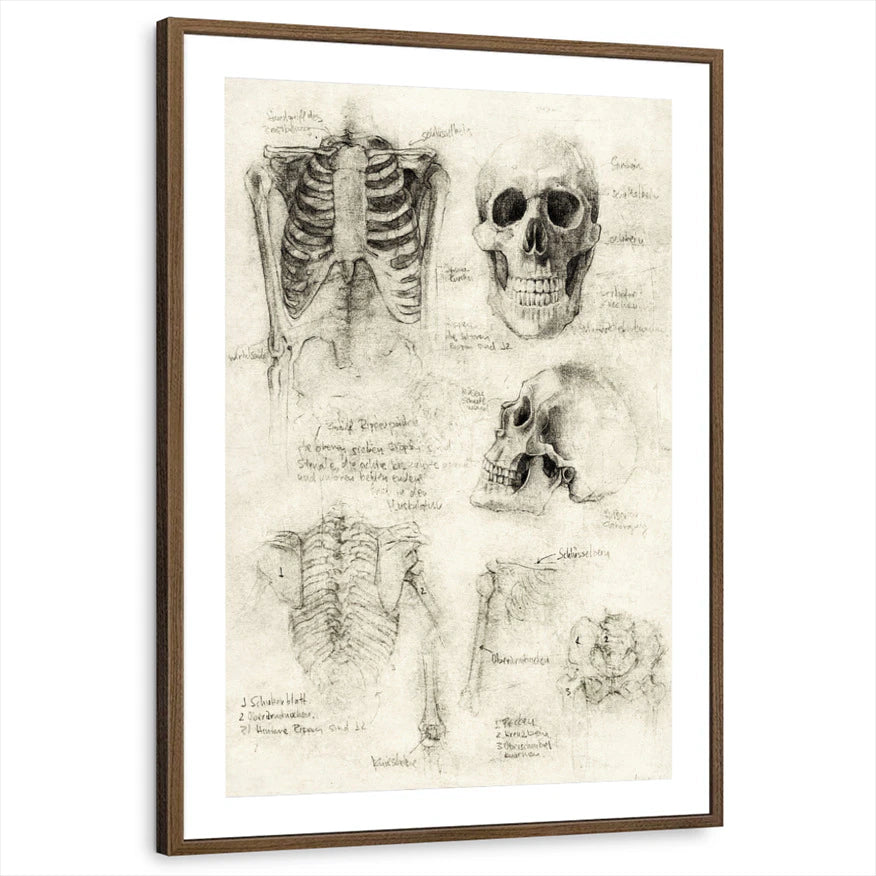 framed-print-brown-walnut-matted