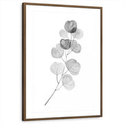 framed-print-brown-walnut-matted