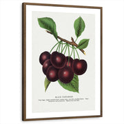 framed-print-brown-walnut-matted