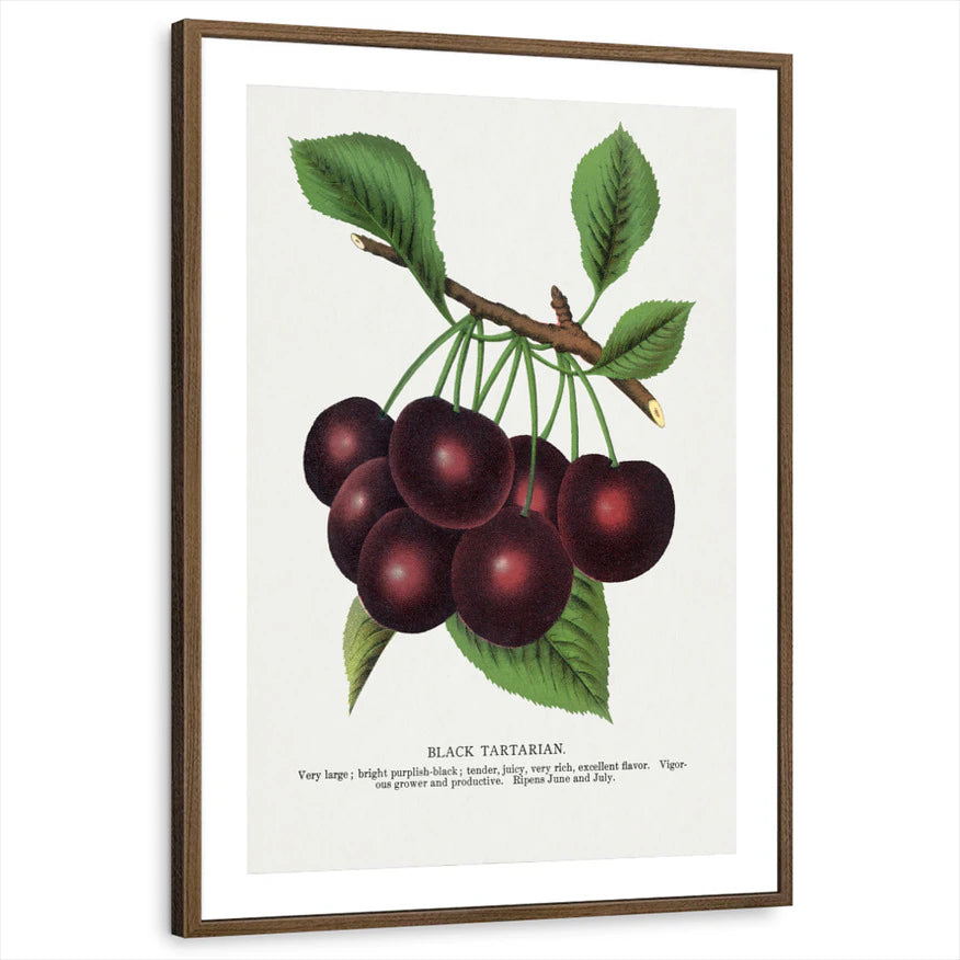 framed-print-brown-walnut-matted