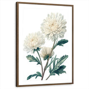 framed-print-brown-walnut-matted