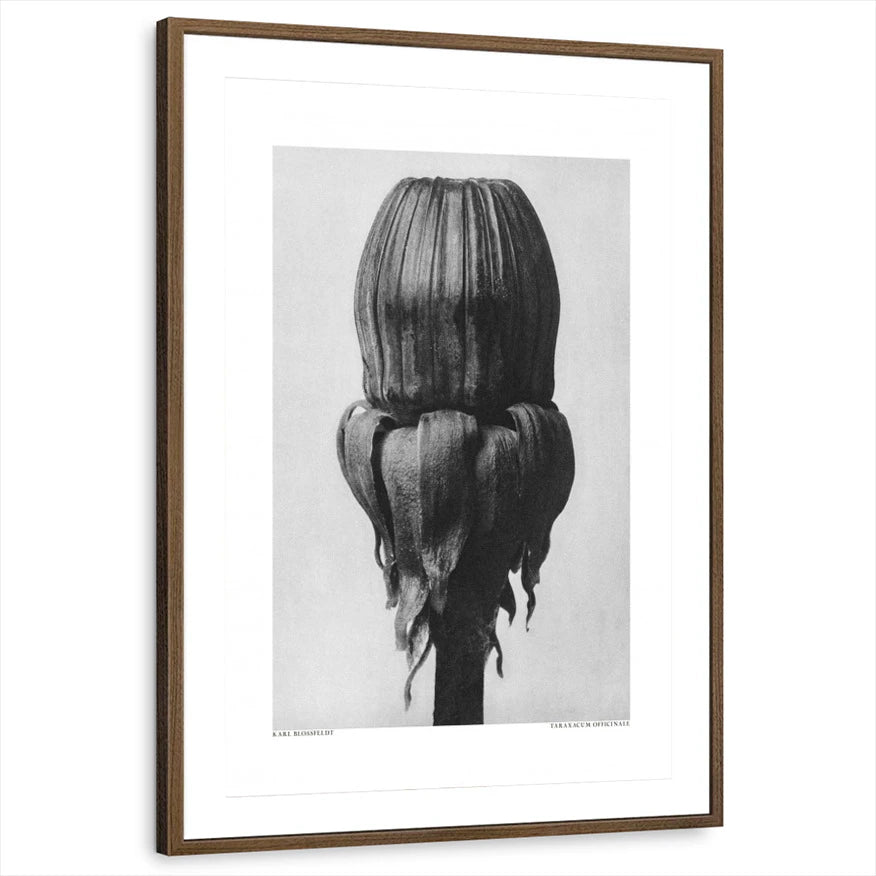framed-print-brown-walnut-matted