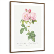 framed-print-brown-walnut-matted