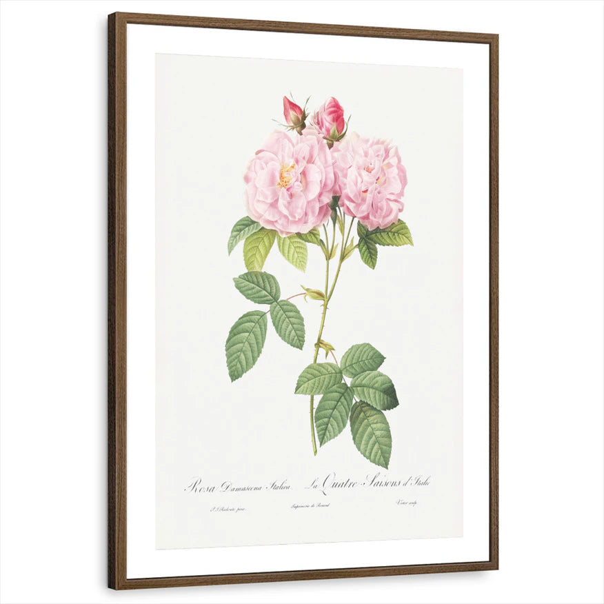 framed-print-brown-walnut-matted