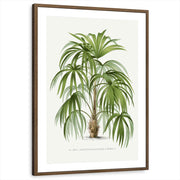 framed-print-brown-walnut-matted