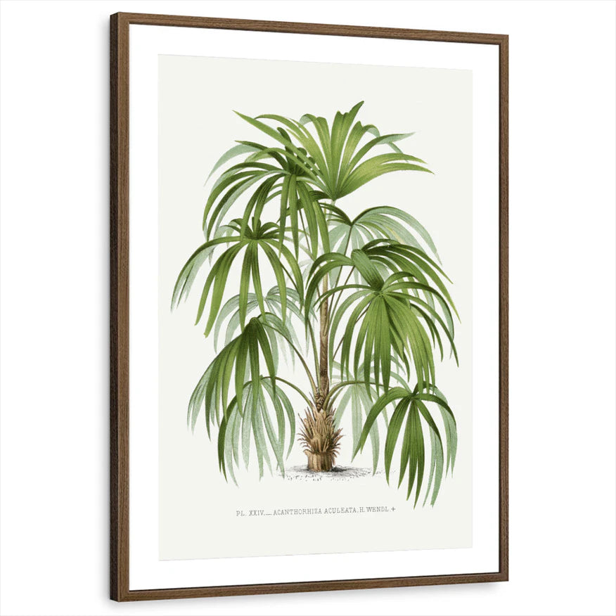 framed-print-brown-walnut-matted