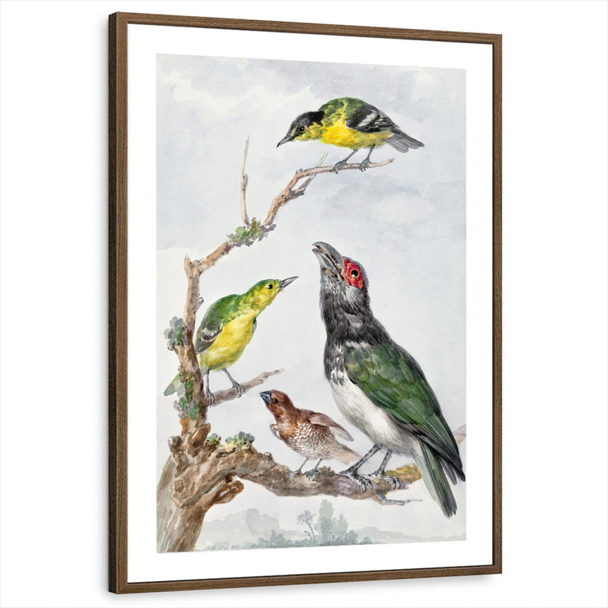 framed-print-brown-walnut-matted