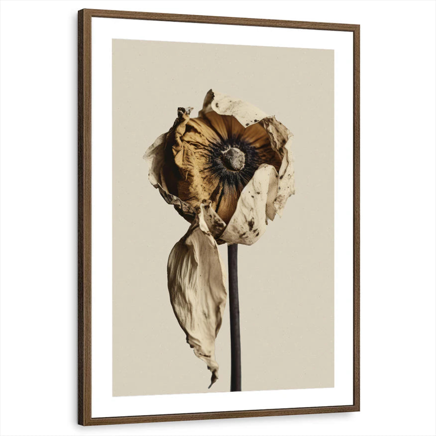 framed-print-brown-walnut-matted