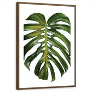framed-print-brown-walnut-matted