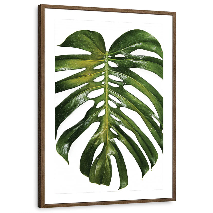 framed-print-brown-walnut-matted