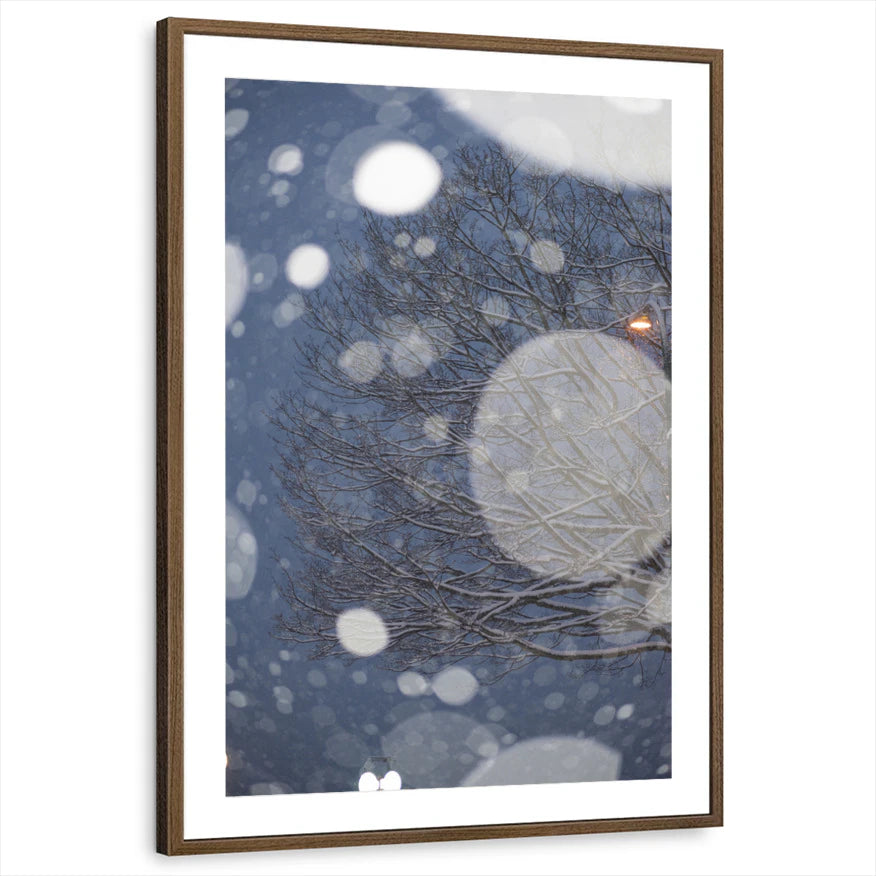 framed-print-brown-walnut-matted