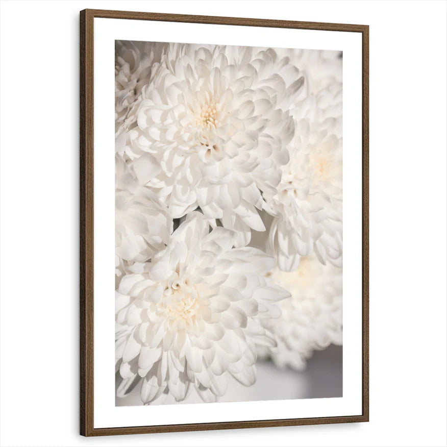 framed-print-brown-walnut-matted