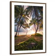 framed-print-brown-walnut-matted