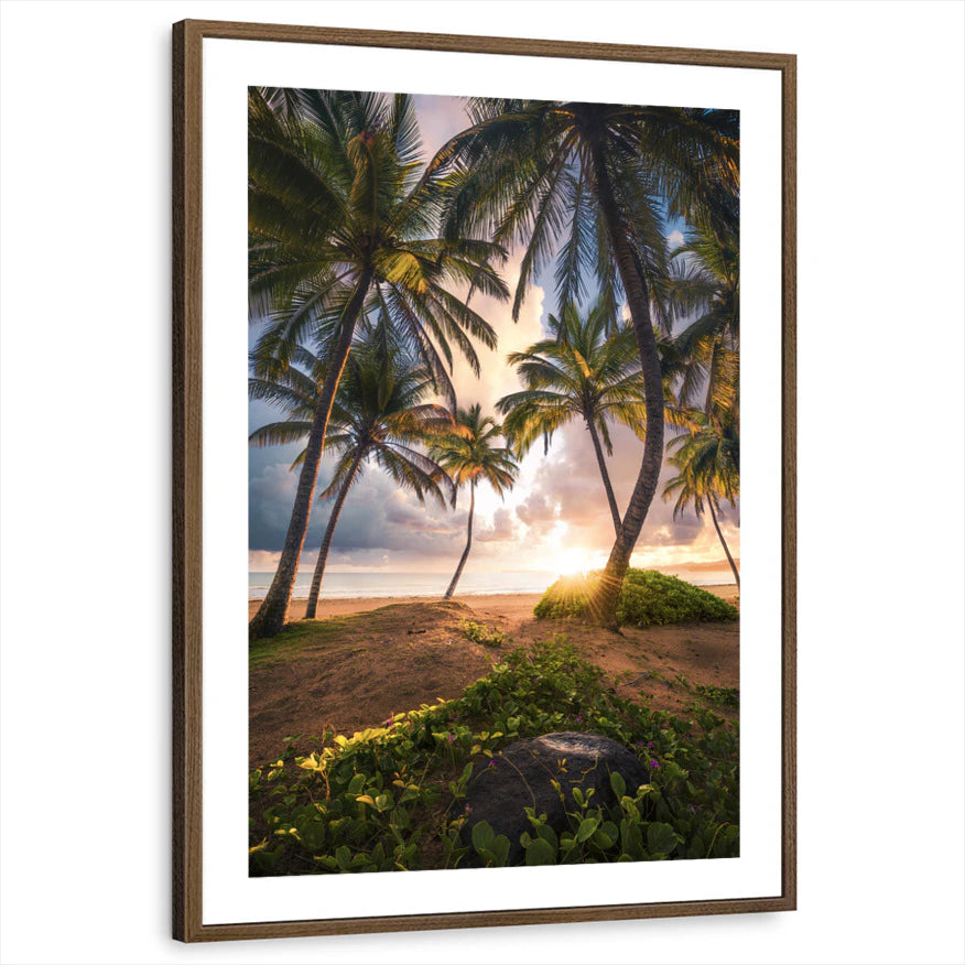 framed-print-brown-walnut-matted