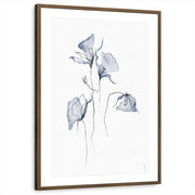 framed-print-brown-walnut-matted